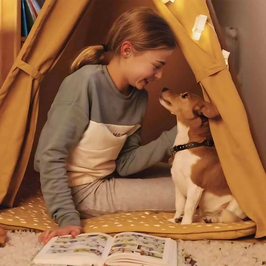 Pro nutrition Prestige Puppy Medium 3Kg