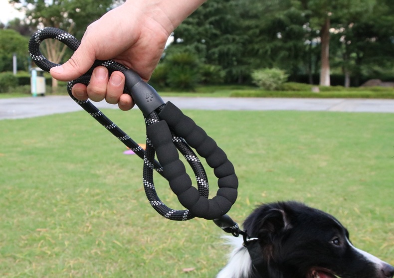 Petbroo Dog Lead 1.2 x 150cm