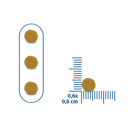 Seven Cats Cat Food For Kitten - Chicken & Beef [Immune Boost] 1kg