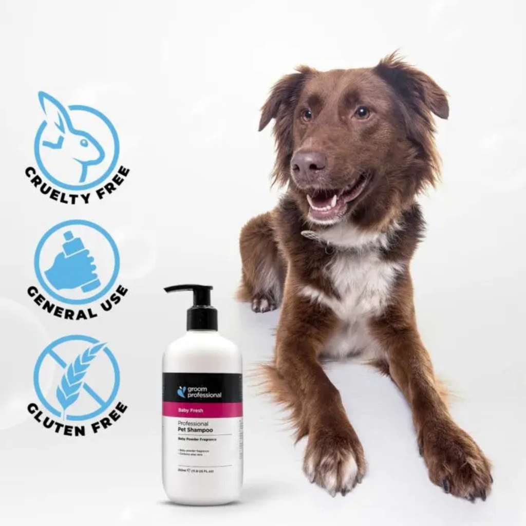 Groom Professional Baby Fresh Pet Shampoo [Baby Powder Fragrance]-4 litres