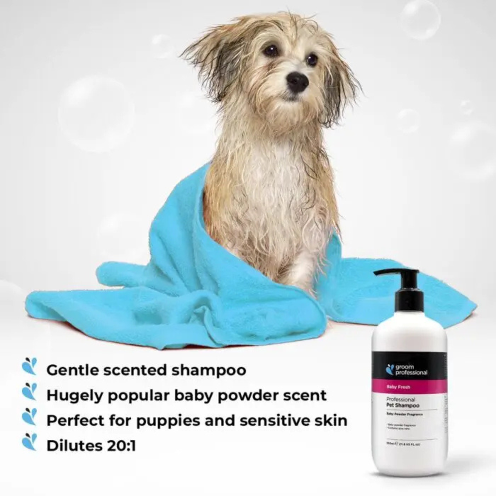 Groom Professional Baby Fresh Pet Shampoo [Baby Powder Fragrance]-4 litres