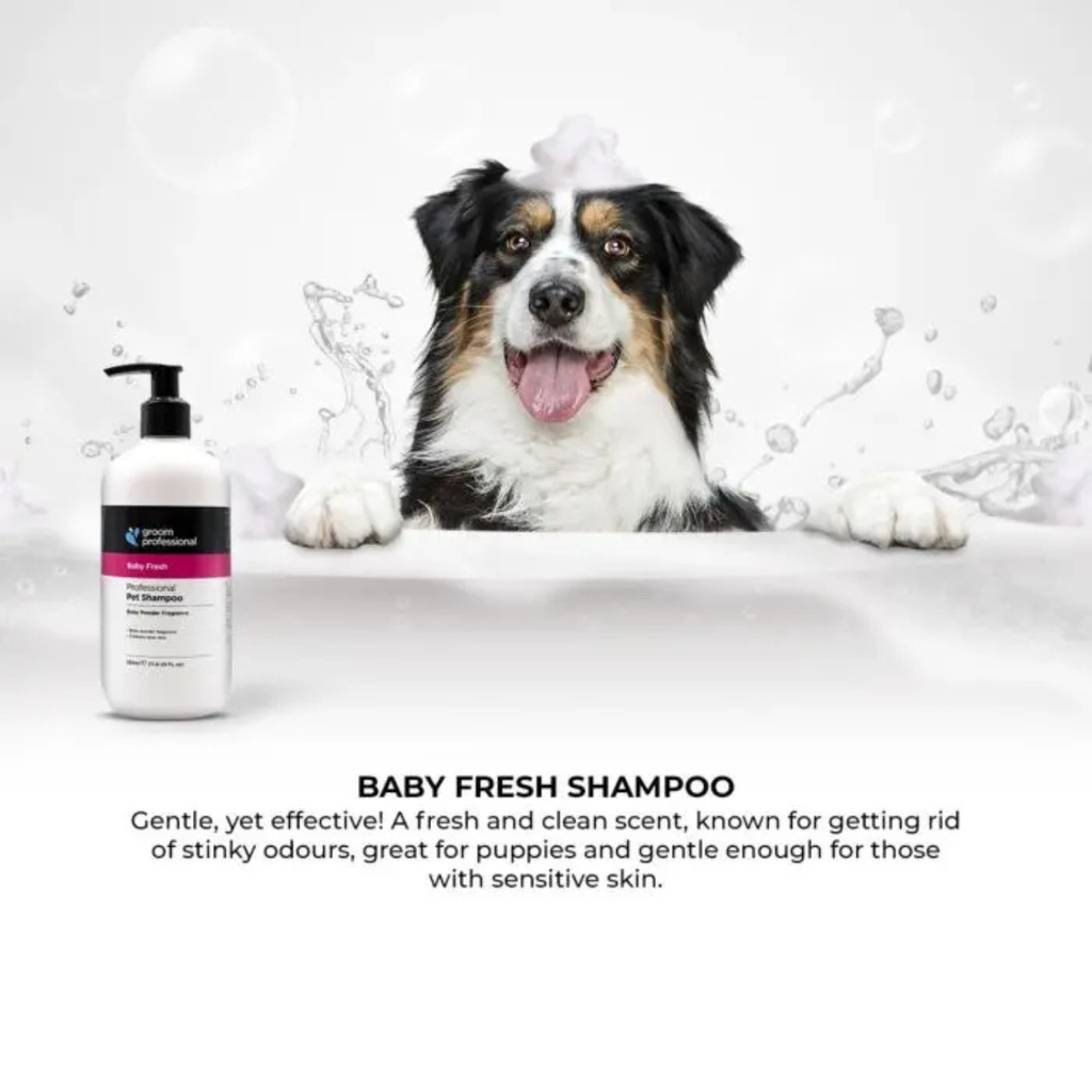 Groom Professional Baby Fresh Pet Shampoo [Baby Powder Fragrance]-4 litres