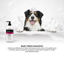 Groom Professional Baby Fresh Pet Shampoo [Baby Powder Fragrance]-4 litres