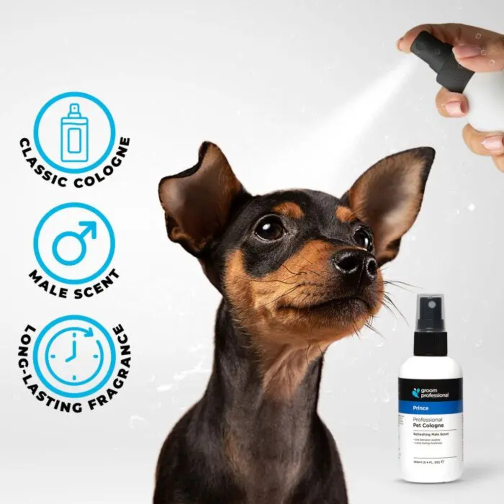 Groom Professional Prince Cologne [Perfume]-Refreshing Male Scent-100ml