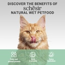 Schesir Complements Cat Wet Food  in Broth- Chicken with Beef 70g [MOQ:12pcs]