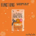 Schesir Functions Cat Pouch Digestive Topper Pumpkin With Wheat Grass 40g (Min Order- 12 Pouch)