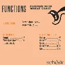 Schesir Functions Cat Pouch Digestive Topper Pumpkin With Wheat Grass 40g (Min Order- 12 Pouch)