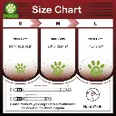 DOCO® LOCO Collar Large-2.5 x 45-68cm F