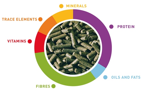 Padovan Junior Coniglieti (Rabbit) 850gm