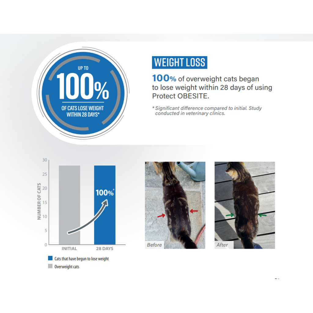 Pro nutrition Protect Obesite[overweight or obesity]-Cat Food For Adult/Adult Sterilised 2kg