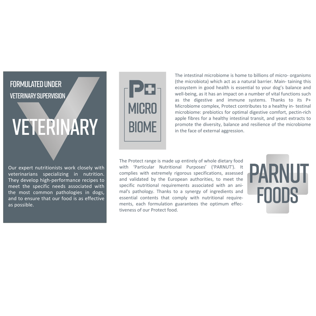 Pro nutrition Protect Osteo[Bone & Joint]-Dog Food For Adult All Sizes 2kg