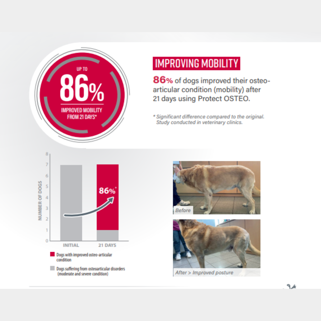 Pro nutrition Protect Osteo[Bone & Joint]-Dog Food For Adult All Sizes 2kg