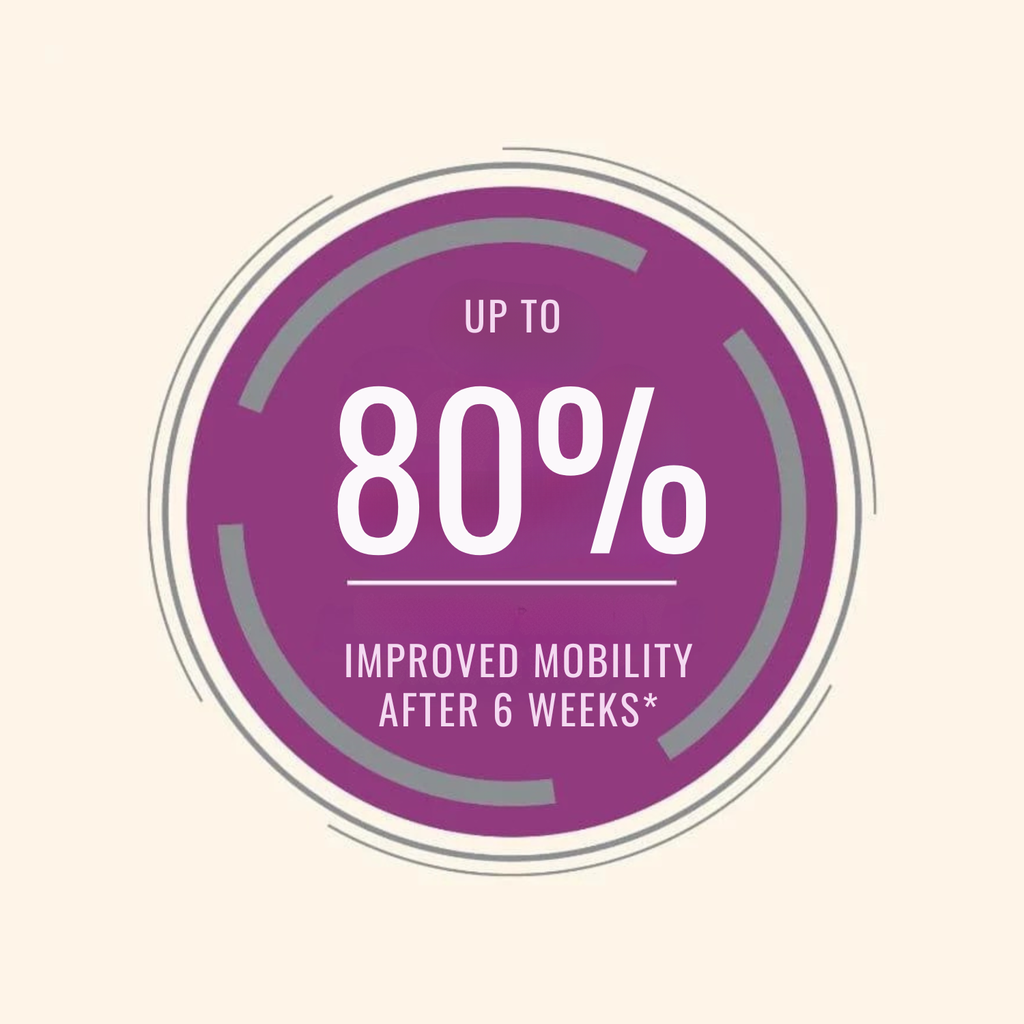 Pro nutrition Protect Senior+ Dog Food For Senior All Sizes 2kg