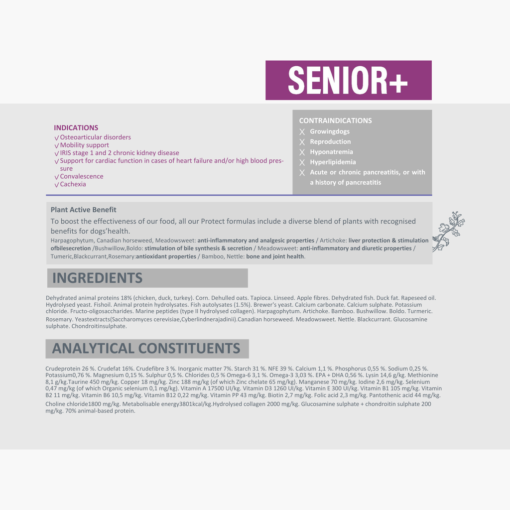 Pro nutrition Protect Senior+ Dog Food For Senior All Sizes 2kg