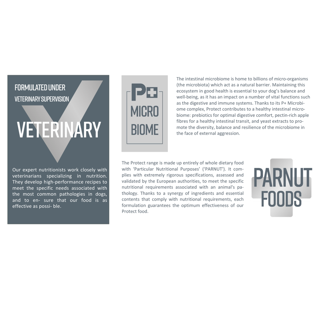 Pro nutrition Protect Sterlised-Dog Food For Adult All Sizes 2kg