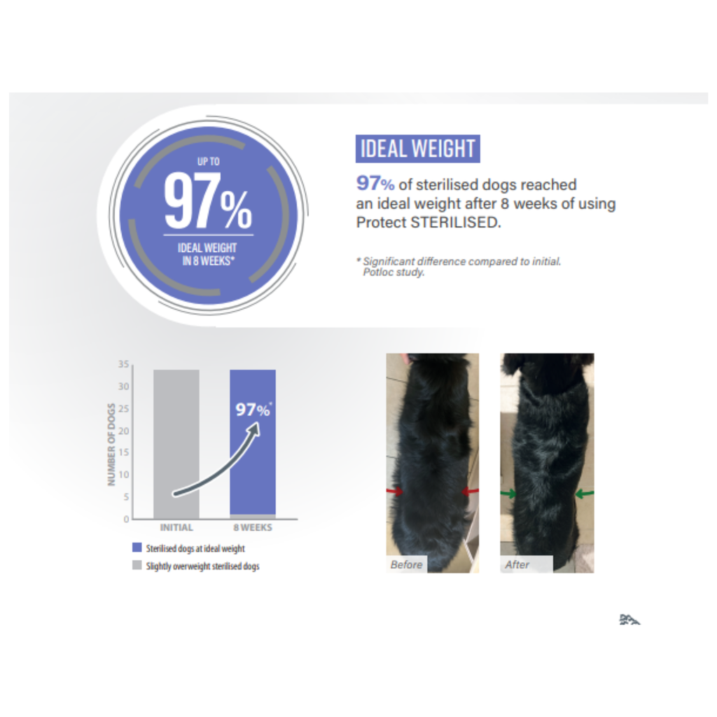 Pro nutrition Protect Sterlised-Dog Food For Adult All Sizes 2kg