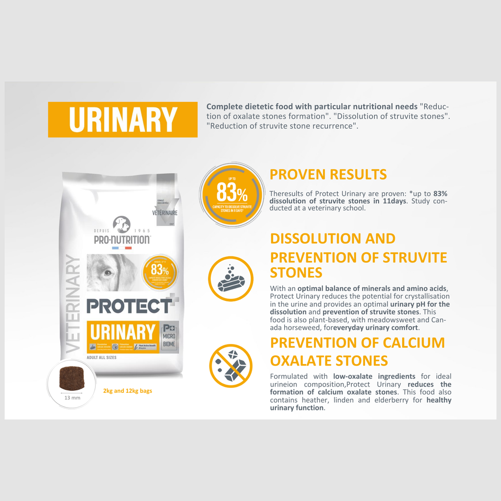 Pro nutrition Protect Osteo[Bone & Joint]-Dog Food For Adult All Sizes 2kg (copy)