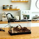 Aquabroo Black Slide Betta Tank 30*19*19