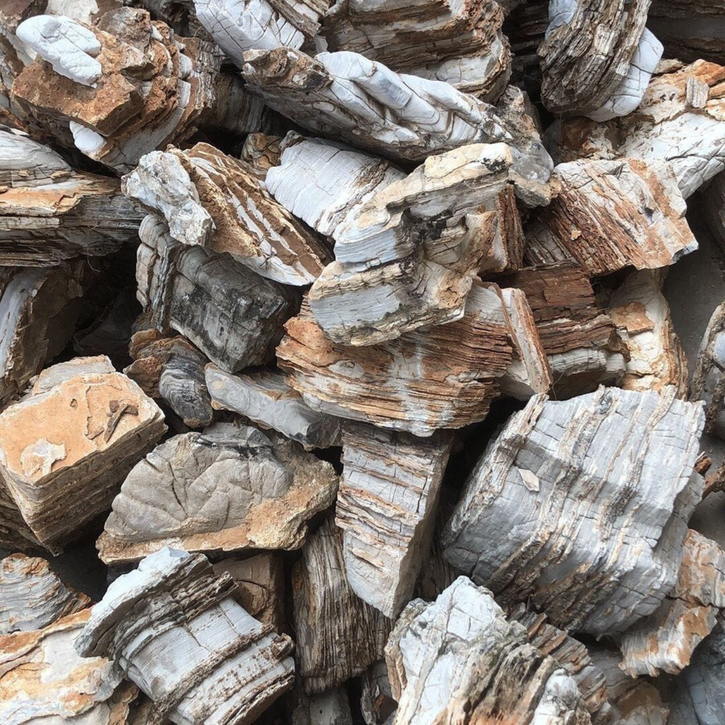 Karis Red Melalecua Rock Large (Per Kg)