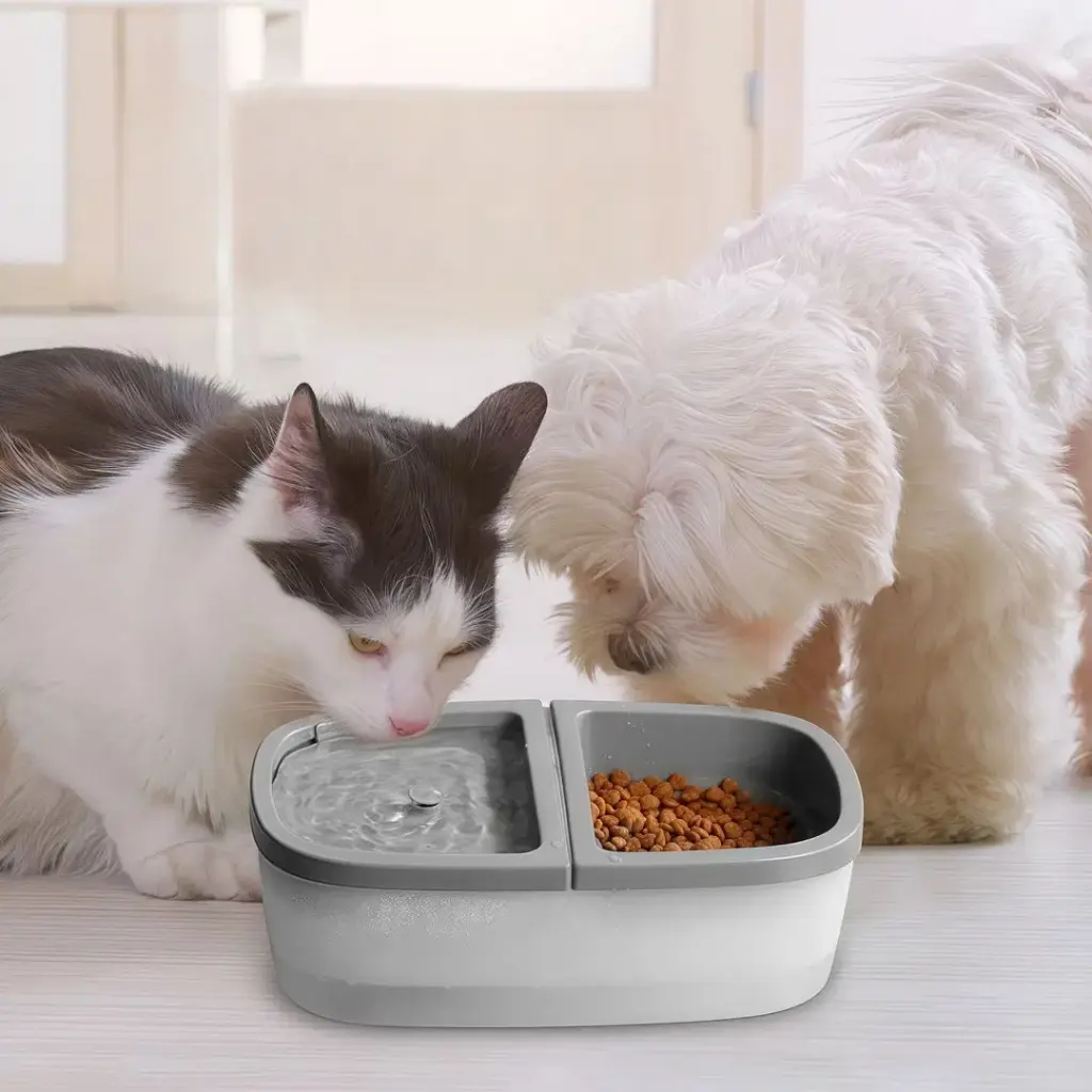 Petbroo Smart Feeder 2-in-1