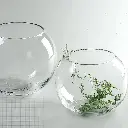 Aquabroo Aquasphere Bowl - 6"