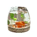 Aquabroo Zenwood Glass Aquarium Bowl 13*13cm