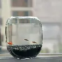 Aquabroo Crystal Globe Bowl 16*16cm