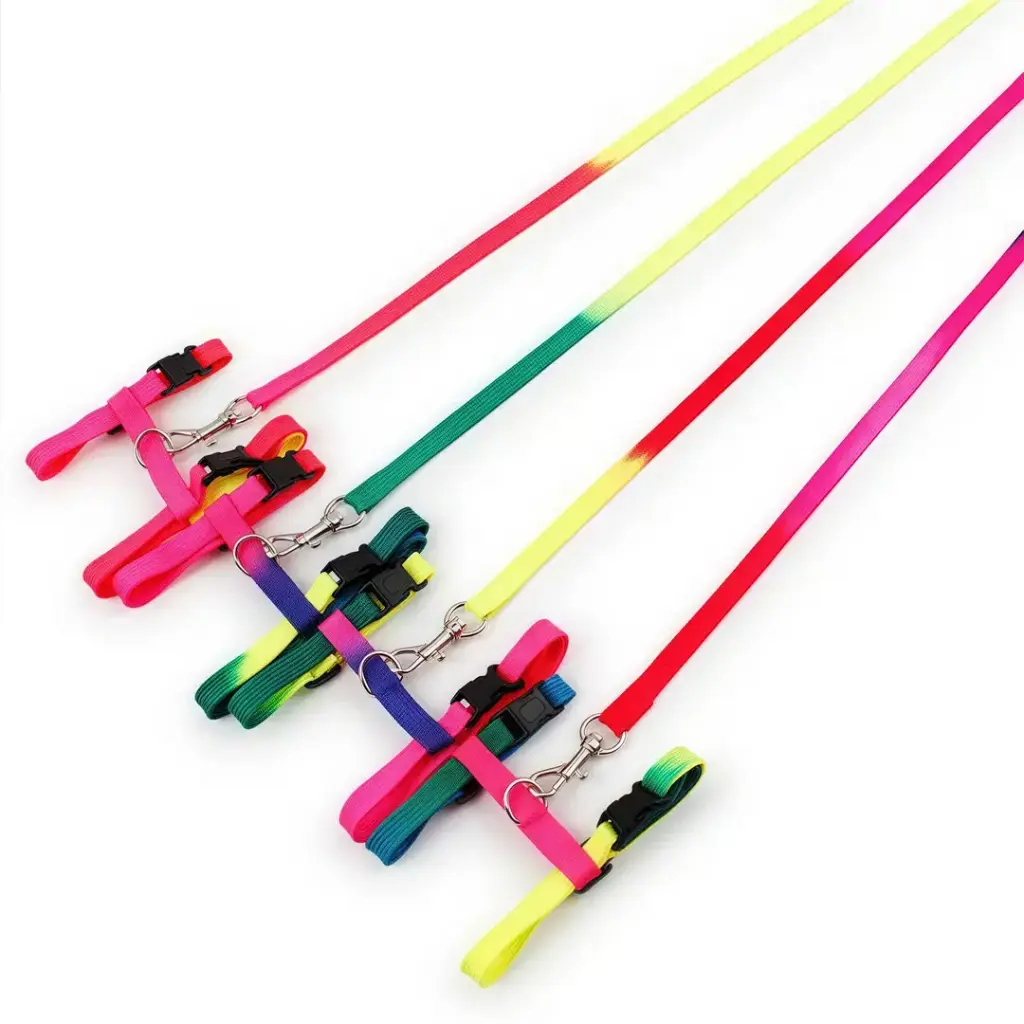 Petbroo Cat Rainbow Leash+Harness S (6 kg) 1.0 x 120 cm