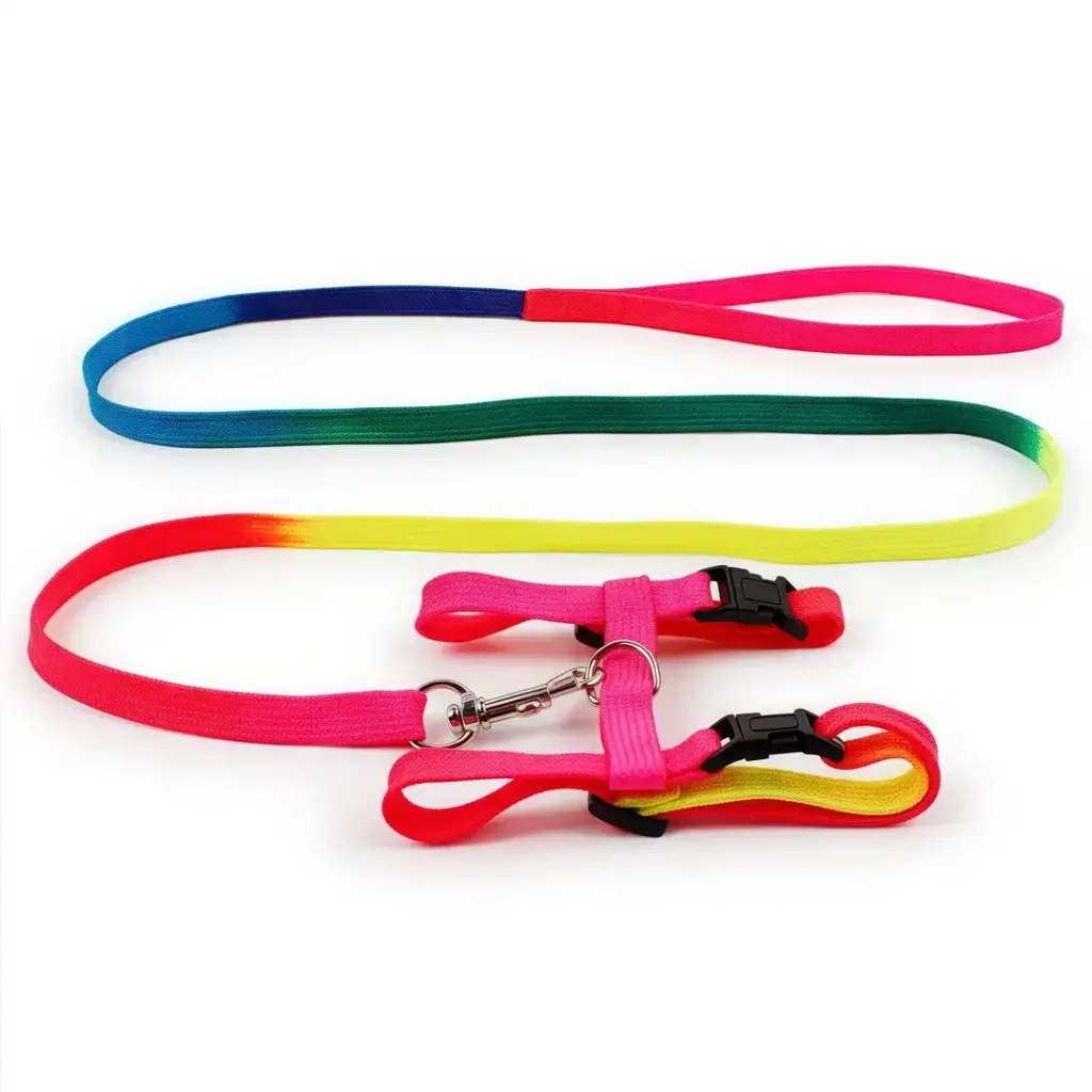 Petbroo Cat Rainbow Leash+Harness S (6 kg) 1.0 x 120 cm