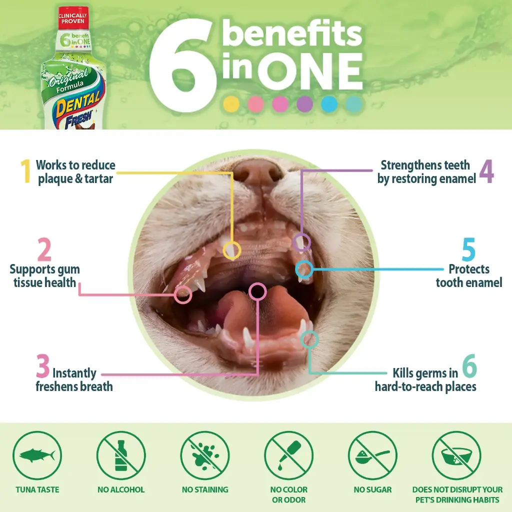 Synergy Labs Dental Fresh Original Formula For Cats 237ml[Volume - 237ml]