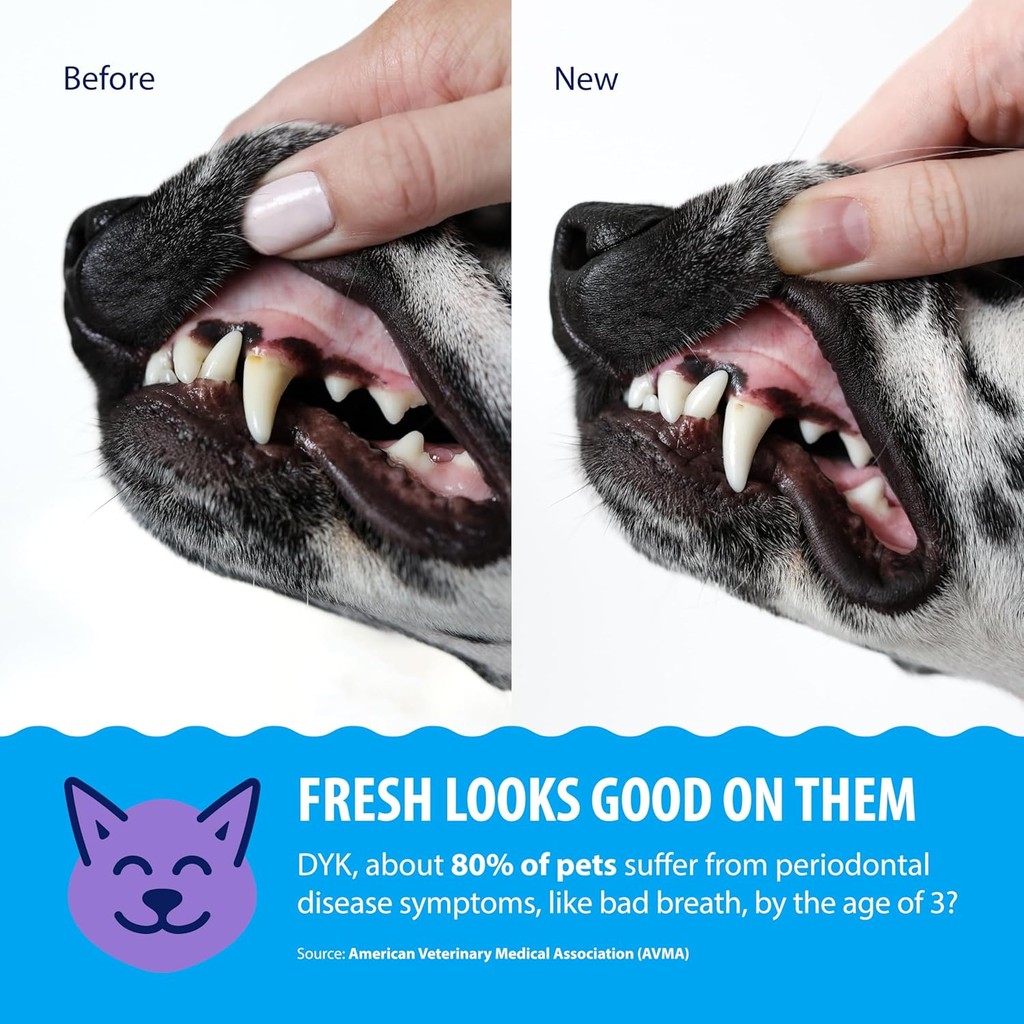 Synergy Labs Dental Fresh Plaque & Tartar Control Water Additive for Dogs & Cats - 503ml