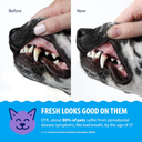 Synergy Labs Dental Fresh Plaque & Tartar Control Water Additive for Dogs & Cats - 503ml