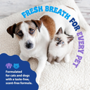 Synergy Labs Dental Fresh Plaque & Tartar Control Water Additive for Dogs & Cats - 503ml