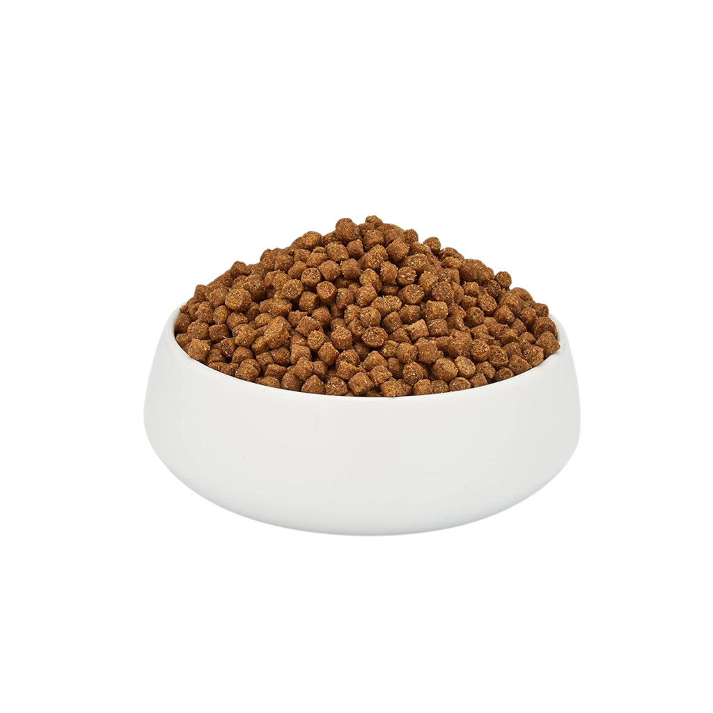 Schesir Cat Dry Food Maintenance with Chicken-Adult[Weight - 400g]