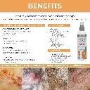Synergy Labs Veterinary Formula Clinical Care Antiseptic & Antifungal Spray For Dogs & Cats 236ml[Volume - 236ml]