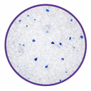 Pado Silica Crystal Cat Litter 16L With Pad Inside- Unscented