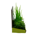 Yusee Aquarium Decorations - Artificial Plant YM-0207 [Height:15cm]