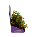 Yusee Aquarium Decorations - Artificial Plant YS-60114 [Height:15cm]