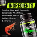 Horizone Eagle Shrimp Algae Food - 100ml