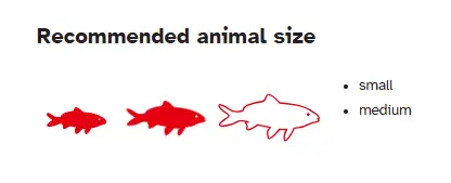 Sera Granured Nature[Volume - 250ml]