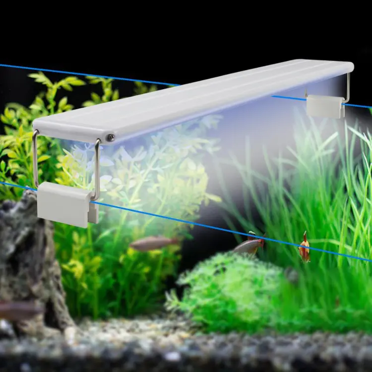 Roxin Led Top Light Colorfull[Power - 10W, Length - 40-50cm]