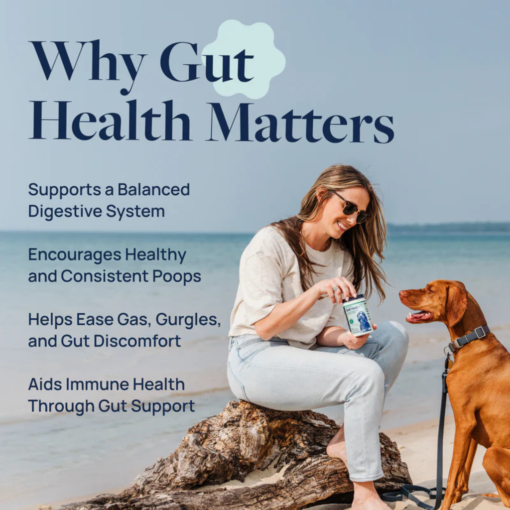 Synergy Labs Veterinary Formula Gut Health Formulated Probiotic Chews Supplement for Dogs – 225g [Count - 60]