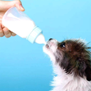 Bungener Feeding Bottle Set 60ml