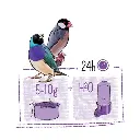 Witte Molen Puur Tropical Bird[Weight - 750g]