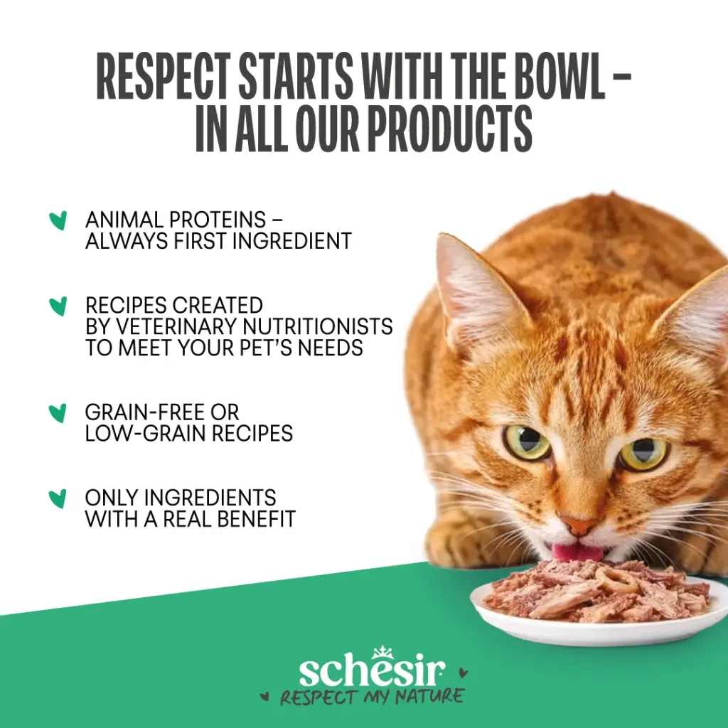 Schesir Snax! Crunchy & Creamy Cat Snack 60g-Tuna