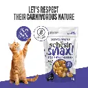 Schesir Snax! Crunchy & Creamy Cat Snack 60g-Tuna