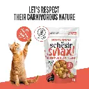 Schesir Snax! Crunchy & Creamy Cat Snack 60g-Tuna