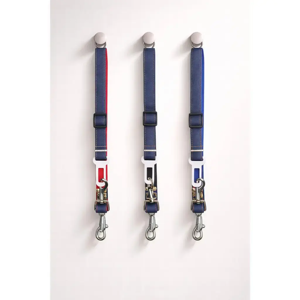Petbroo Seat Belt Leash