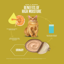 Schesir Veterinary Solutions-Urinary-Can For Cat-Wholefood Fillets-Chicken 8x80g