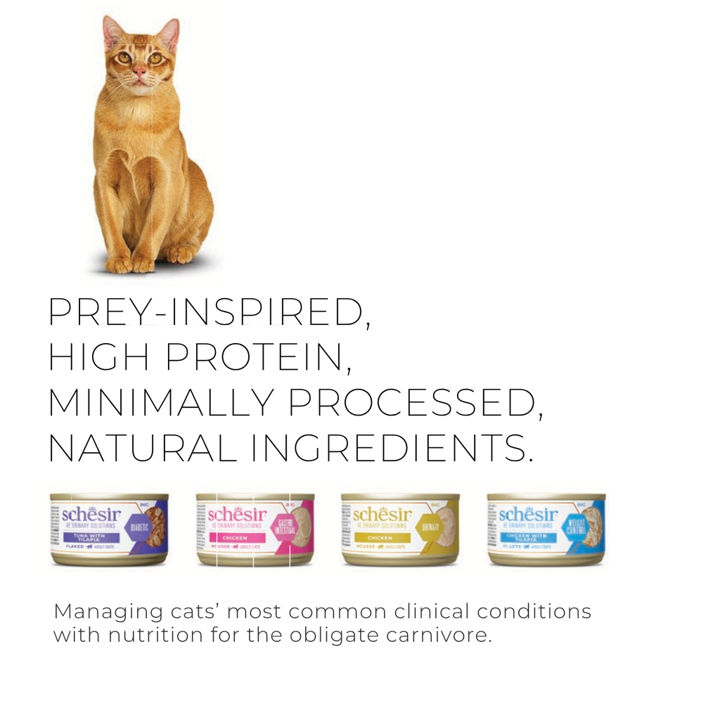 Schesir Veterinary Solutions-Urinary-Can For Cat-Wholefood Fillets-Chicken 8x80g